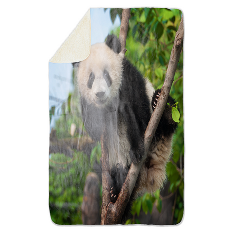 Fleecedeken Panda