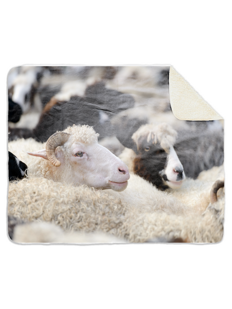 Fleecedeken Schapen