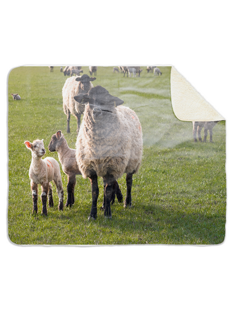 Fleecedeken Schaap met lammetjes