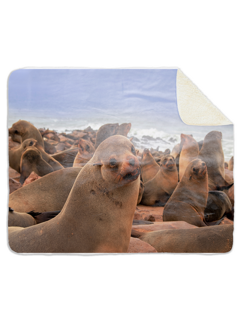 Fleecedeken Zeehonden