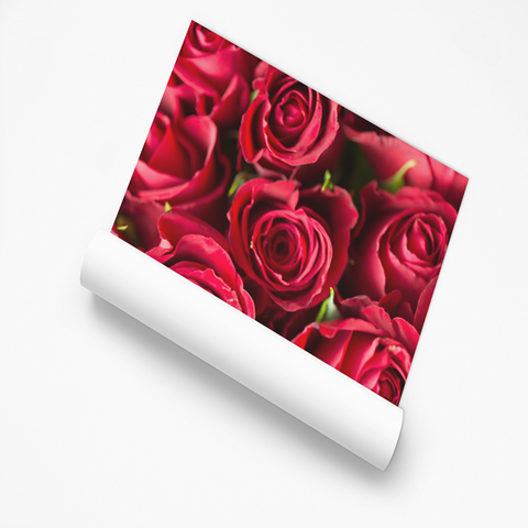 Poster Rode Rozen