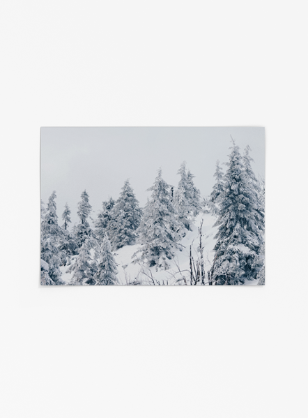 Theedoek Winter sneeuw