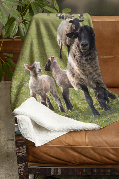 Fleecedeken Schaap met lammetjes