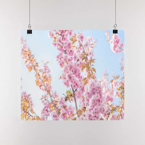 Poster Bloesem