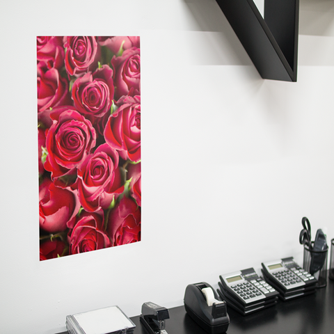 Poster Rode Rozen